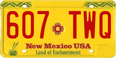 NM license plate 607TWQ