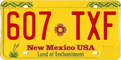 NM license plate 607TXF