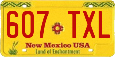NM license plate 607TXL