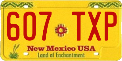 NM license plate 607TXP