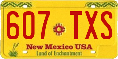 NM license plate 607TXS