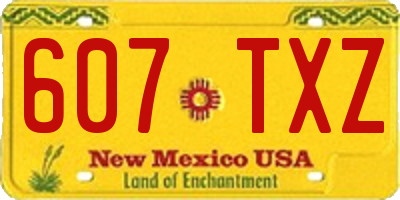 NM license plate 607TXZ