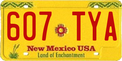 NM license plate 607TYA