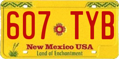 NM license plate 607TYB