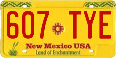 NM license plate 607TYE
