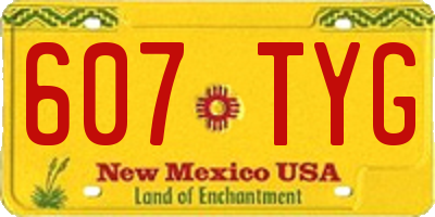 NM license plate 607TYG