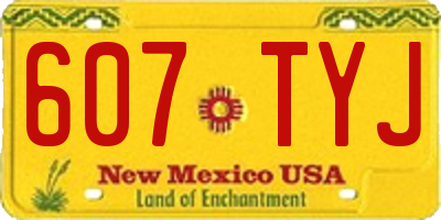 NM license plate 607TYJ