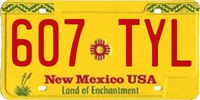 NM license plate 607TYL