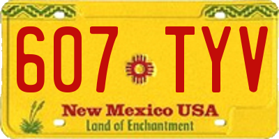 NM license plate 607TYV