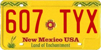 NM license plate 607TYX
