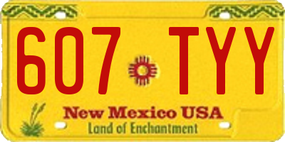 NM license plate 607TYY