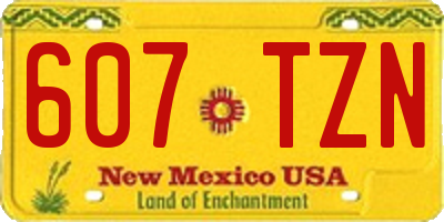 NM license plate 607TZN