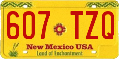 NM license plate 607TZQ