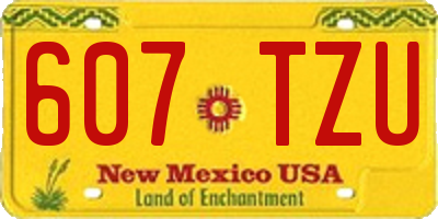 NM license plate 607TZU