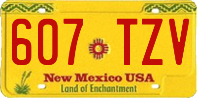 NM license plate 607TZV