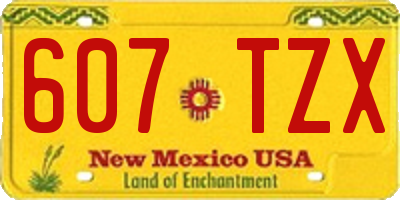 NM license plate 607TZX