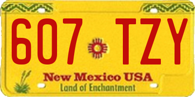 NM license plate 607TZY