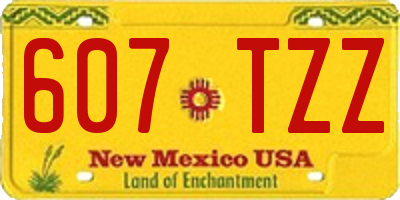 NM license plate 607TZZ