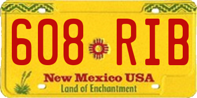 NM license plate 608RIB