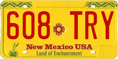 NM license plate 608TRY