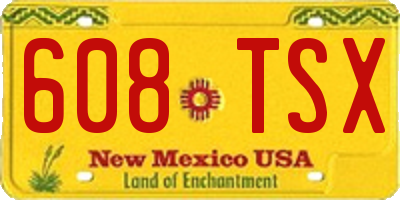 NM license plate 608TSX
