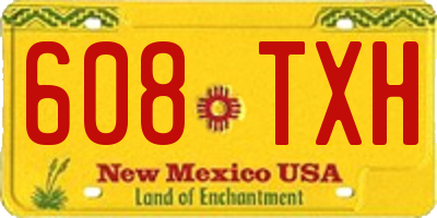 NM license plate 608TXH