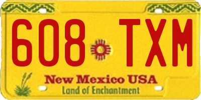 NM license plate 608TXM