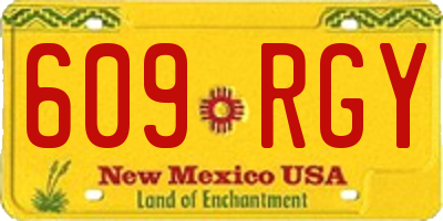 NM license plate 609RGY