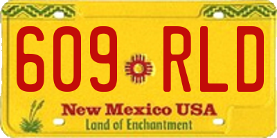 NM license plate 609RLD