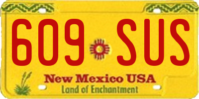 NM license plate 609SUS