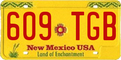 NM license plate 609TGB
