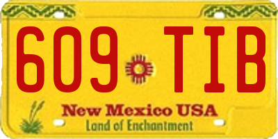 NM license plate 609TIB