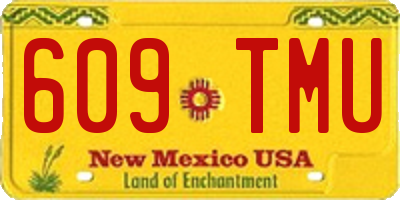 NM license plate 609TMU