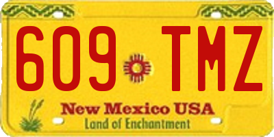 NM license plate 609TMZ
