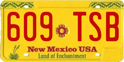 NM license plate 609TSB