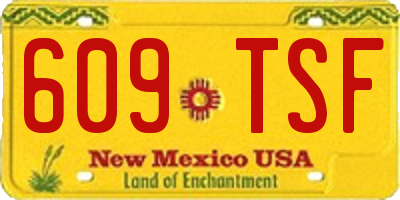 NM license plate 609TSF