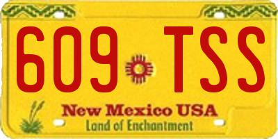 NM license plate 609TSS