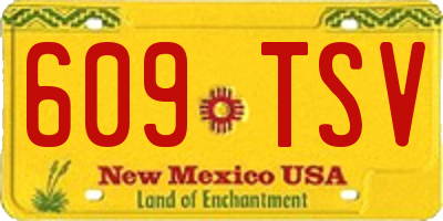 NM license plate 609TSV