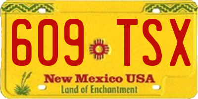 NM license plate 609TSX