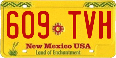NM license plate 609TVH