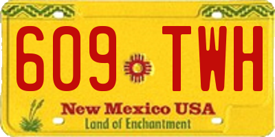 NM license plate 609TWH