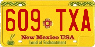 NM license plate 609TXA