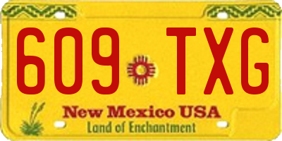 NM license plate 609TXG