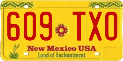 NM license plate 609TXO