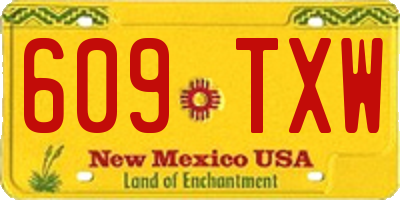 NM license plate 609TXW