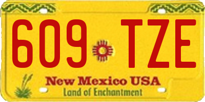 NM license plate 609TZE