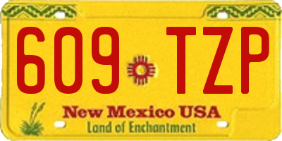 NM license plate 609TZP