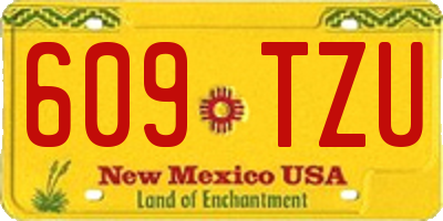 NM license plate 609TZU