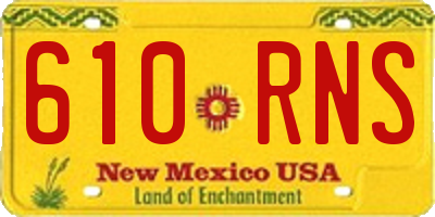 NM license plate 610RNS
