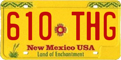 NM license plate 610THG